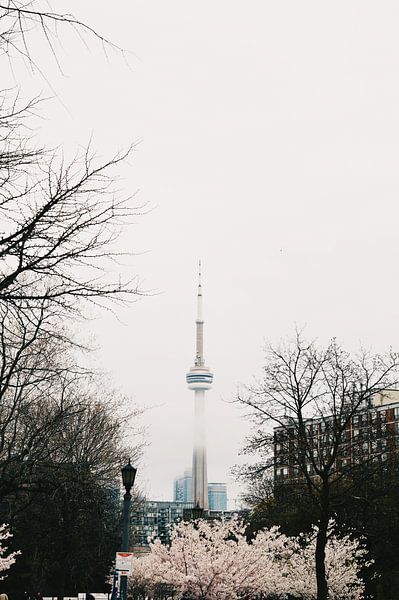Toronto by Hello Pompoyo