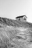 Dreamhouse