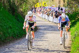 Tadej Pogacar and Mathieu van der Poel on the Koppenberg in the sunshine