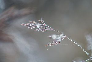 Fliesenlöcher Teil 4