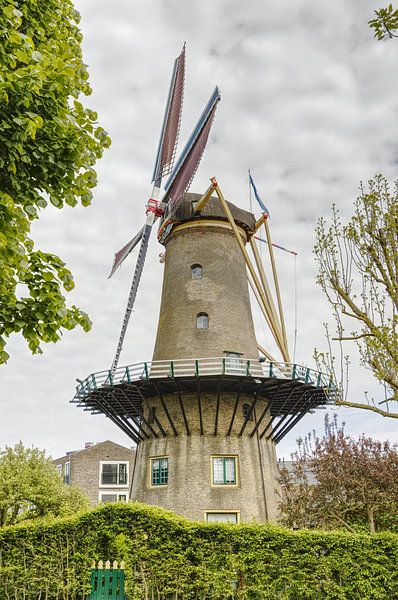Hellevoetsluis windmill by VenPhoto