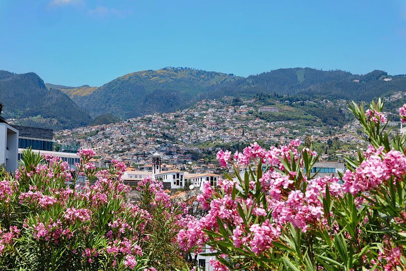 Vue sur Funchal par Ingo Laue