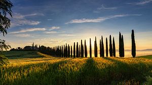 Toskana in der Morgensonne, Italien