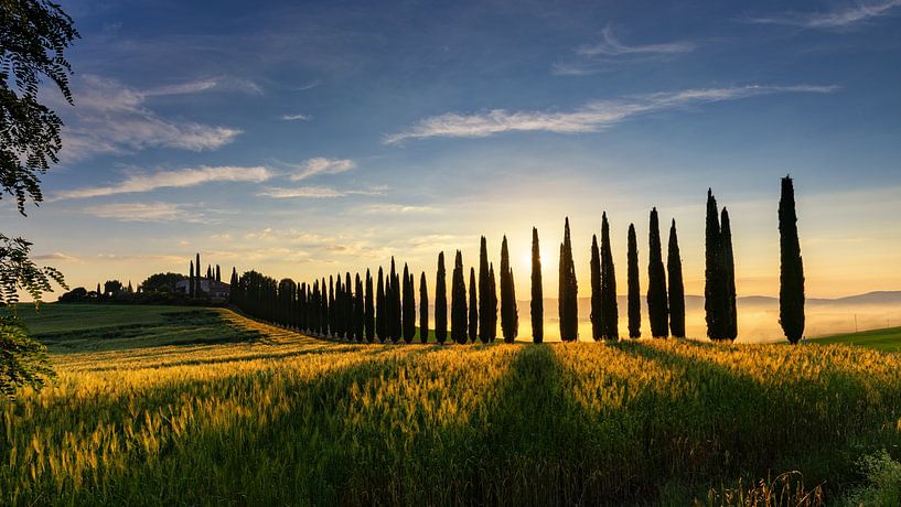 Tuscany in the morning sun, Italy by Adelheid Smitt