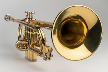 Goldene Trompete als isoliertes Musikinstrument vor einem weißen Hintergrund in einem Studio von Tonko Oosterink