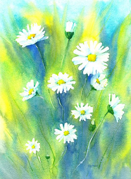 Daisies in the meadow by Karen Kaspar