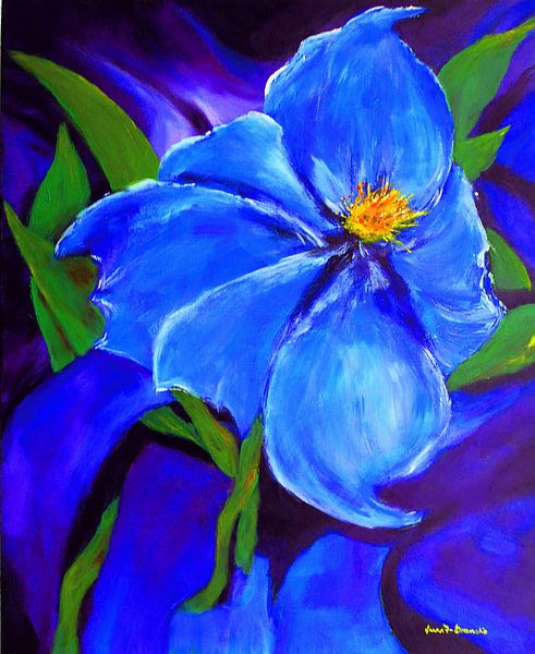 Blue Flower by Eberhard Schmidt-Dranske
