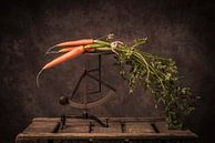 Carottes avec feuillage (Daucus carota) par Geert-Jan Timmermans Aperçu