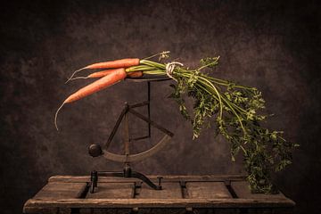 Carrots with foliage (Daucus carota) by Geert-Jan Timmermans