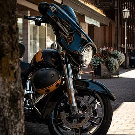 Black Harley Davidson by Raymond Voskamp