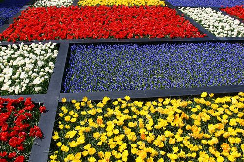 Keukenhof van Bianca Arkesteijn