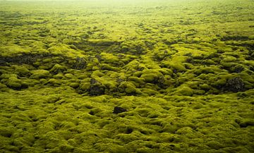Lava field - Iceland van Thomas Kuipers