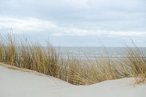 Dünen, Sand, Strand und Meer bei den Watteninseln | auf Schiermonnikoog | Naturfotografie von Karijn | Fine art Natuur en Reis Fotografie