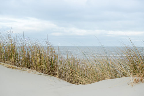 dunes, sand, beach and sea near the Wadden Islands | on Schiermonnikoog | nature fine art photograph