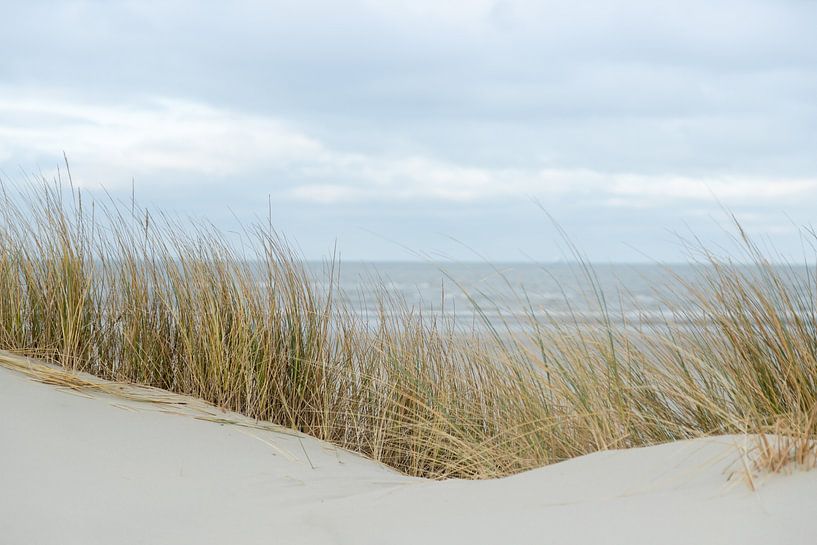dunes, sand, beach and sea near the Wadden Islands | on Schiermonnikoog | nature fine art photograph by Karijn | Fine art Natuur en Reis Fotografie