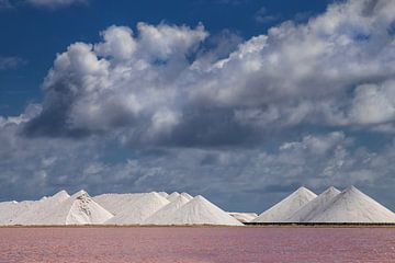 Bonaire - Pyramides de sel sur Marly De Kok