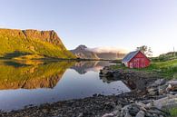 Lofoten at Midsummer Night by swc07 thumbnail