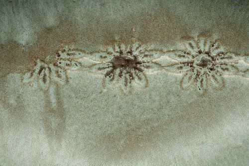 Pottery Flowers 1. Nieuw Landelijk