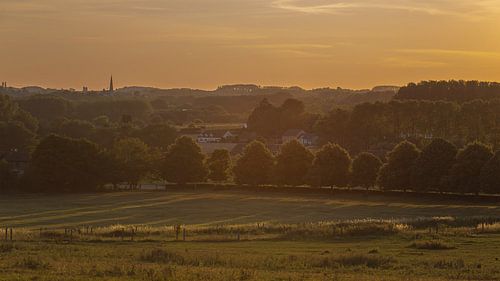 Bomenrij bij valavond Gaasbeek