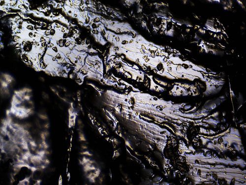 Haribo bears under the microscope