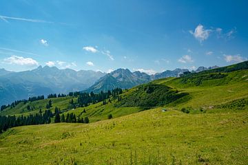 Vue fleurie sur les Alpes de l'Allgäu depuis le Fellhorn sur Leo Schindzielorz