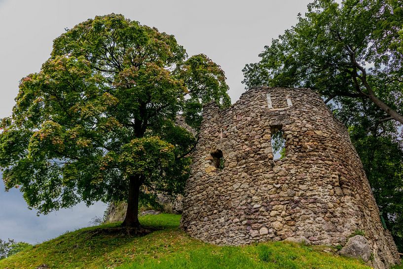 Magnifiques ruines de château et parc sur le Rennsteig/Forêt de Thuringe par Oliver Hlavaty