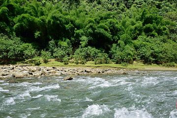 Through some rough rapids by Frank's Awesome Travels