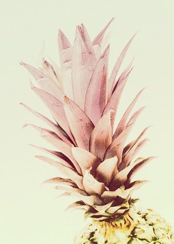 PASTEL PINEAPPLE no1c