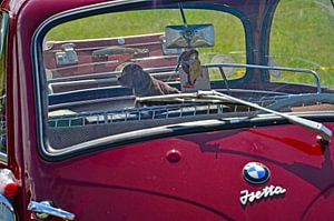 Isetta mit Wackeldackel