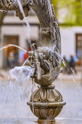 BADEN-WÜRTTEMBERG : DOLFIJNFONTEIN ULM