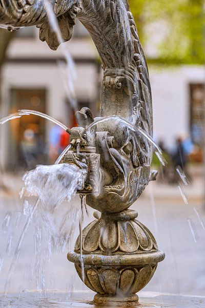 BADEN-WÜRTTEMBERG : DOLFIJNFONTEIN ULM van Photoart-Naegele