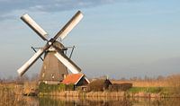 windmills in Kinderdijk Holland von ChrisWillemsen Miniaturansicht