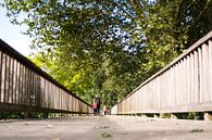 Road of life by Laurens Rijswijk thumbnail