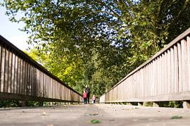 Weg des levens von Laurens Rijswijk
