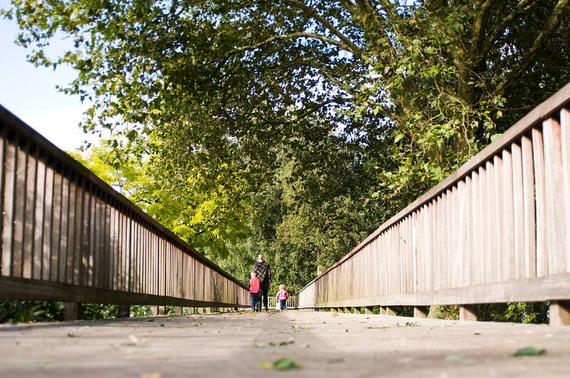 Road of life by Laurens Rijswijk