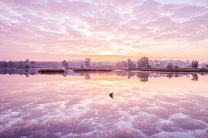 Sunrise above a fen