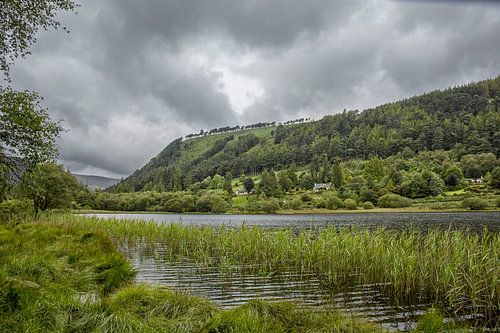 Idyllic display in Glendalough Valley, County Wicklow, Ireland