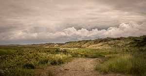 Réserve naturelle Het Groene Strand Ameland