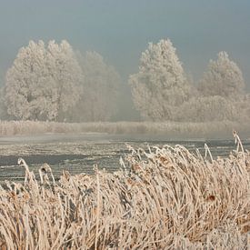 Winter landschap in Noordholland von Sjaak van Etten