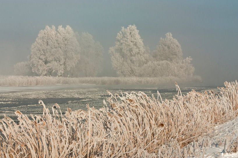 Winter landschap in Noordholland von Sjaak van Etten