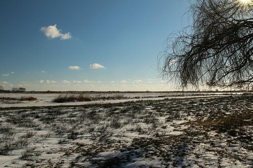 Een winters uitzicht over het Sneekermeer