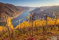 Blick auf Oberwesel und das Mittelrheintal van Christian Müringer thumbnail