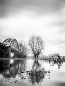 Nijmegen hoogwater #3 van Lex Schulte