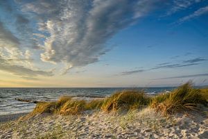 Abendstimmung von Claudia Moeckel