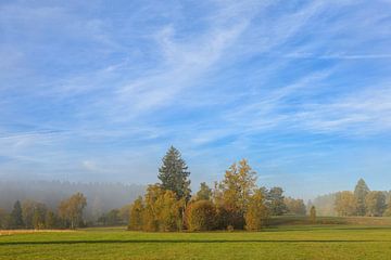 Ambiance automnale dans le Irndorfer Hardt - Parc naturel du Haut-Danube sur BlattArt - Christine Horn
