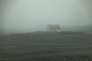 Un matin brumeux sur Delano Balten