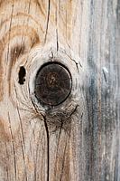 Wooden pole