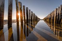 Die Wellenbrecher am Strand von Domburg, Zeeland
