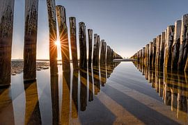 Die Wellenbrecher am Strand von Domburg, Zeeland von Martijn van der Nat