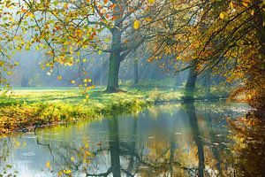 Autumn on Elswout Estate